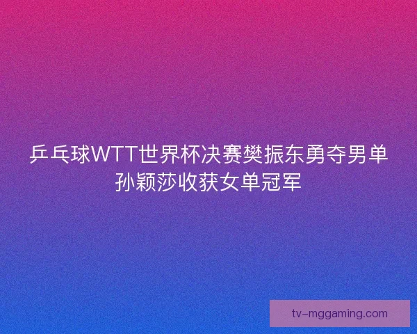 乒乓球WTT世界杯决赛樊振东勇夺男单孙颖莎收获女单冠军